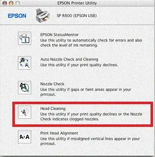 Epson printer connected to network but not printing