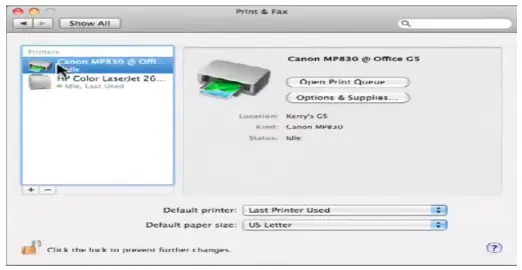 get canon printer online