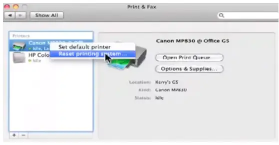 get canon printer online