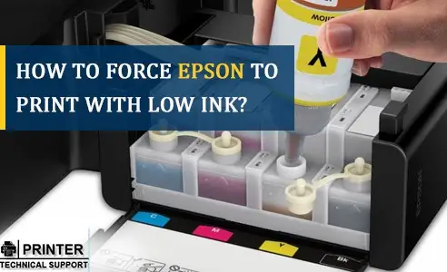 Force Epson to Print with Low Ink