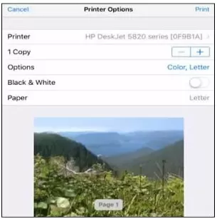 install brother printer on iphone