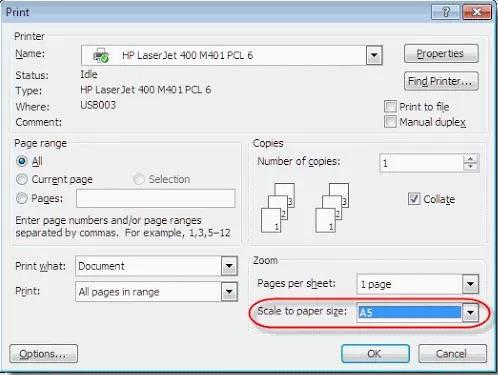 Printer Always Prints 2 Copies on Windows 10