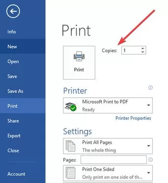 Printer Always Prints 2 Copies on Windows 10