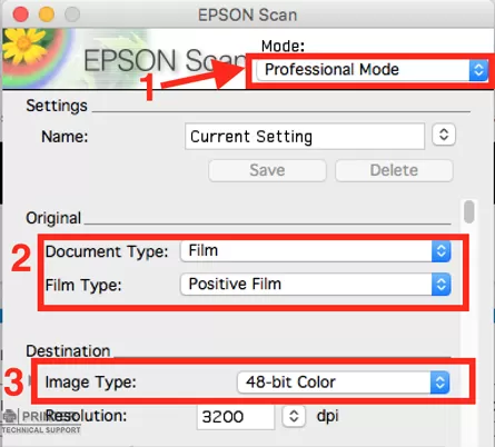 Scan Using Epson Perfection v600 Photo Scanner