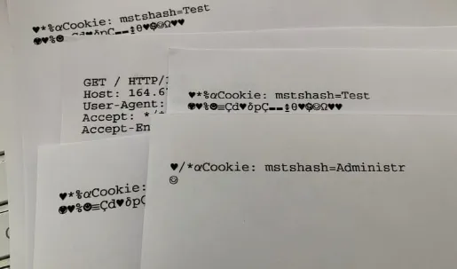 lexmark printer printing random symbols