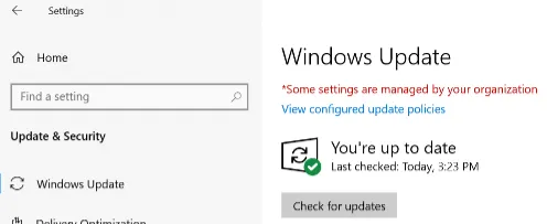 Printer Not Working on Windows 11