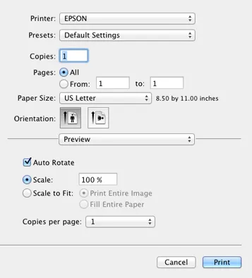 Epson Printer Filter Failed or Stopped on Mac Error
