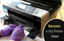 How to Recover a Dry Printer Head?