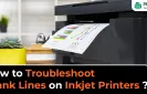 How to Troubleshoot Blank Lines on Inkjet Printers?