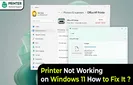 Printer Not Working on Windows 11 How to Fix It