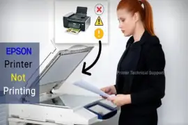 Epson Printer Not Printing