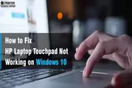 How to Fix HP Laptop Touchpad Not Working on Windows 10?