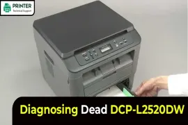 Diagnosing Dead DCP-L2520DW