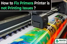 How to Fix Primera Printer is not Printing Issues