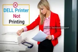 My Dell Printer is Not Printing