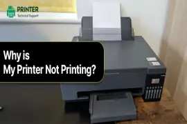 why is my printer not printing