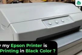 Why my Epson Printer is Not Printing in Black Color?