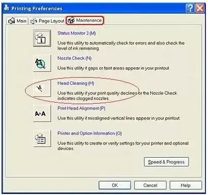 Clean Epson Printerhead Manually